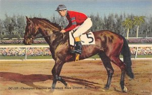 Champion Citation at Hialeah Race Course Miami, Florida