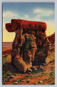 The Arm Chair Petrified Forest Arizona Vintage Unposted Linen Postcard