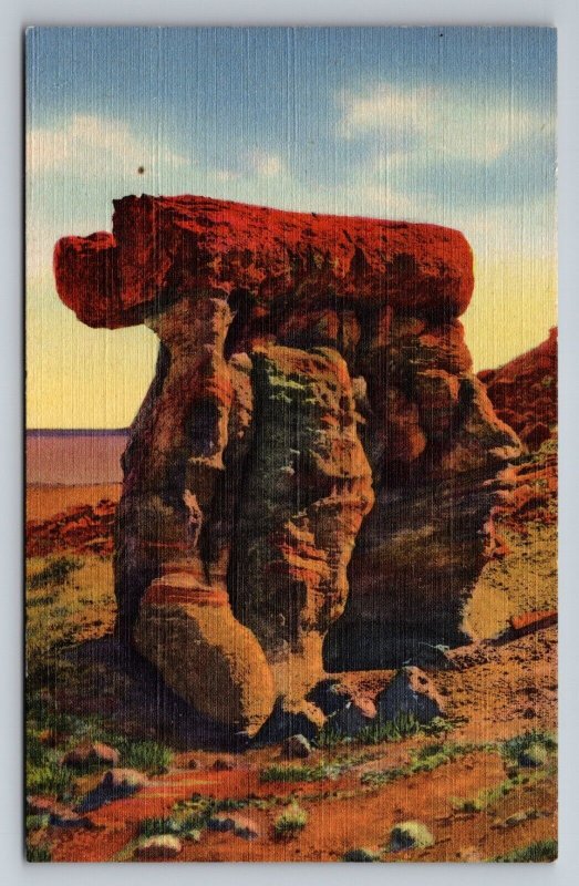 The Arm Chair Petrified Forest Arizona Vintage Unposted Linen Postcard