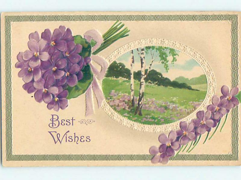 Divided-Back BEAUTIFUL VIOLET FLOWERS & PASTURE SCENE - BEST WISHES o9260