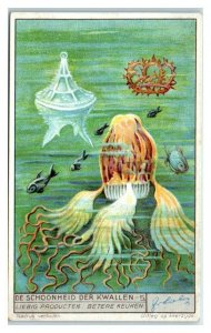 Beauty of Jellyfish #5, Liebig Belgian Trade Card *VT32O