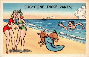 Humour Dog Stealing Pants Dog Gone Those Pants