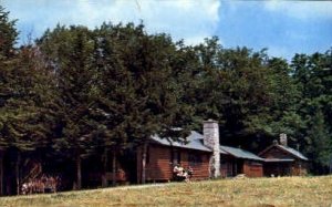 Girl Scout Camp Hoover - Tully, New York