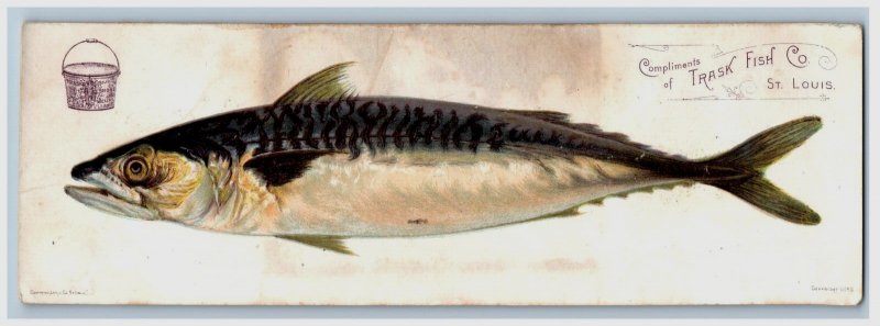 1886 Trask Fish Co. Mackerel Fish Fab! #5C