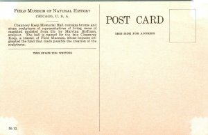 Vtg Postcard 1930s Field Museum Natural History Chicago - Chauncey Keep Unused