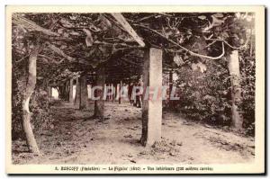 Old Postcard Roscoff The Fig Tree View Interieure