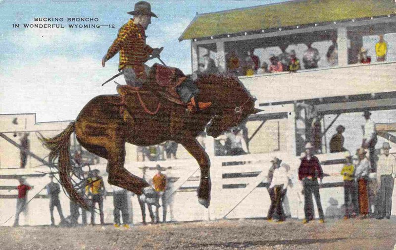 Bucking Bronco Horse Rodeo Wyoming 1940s linen postcard