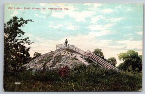St. Petersburg  Florida  Old Indian Shell Mound   Postcard