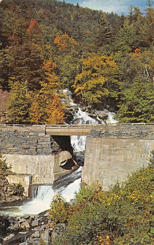 Famous Bastion Falls Haines Falls, New York NY