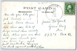 DPO (1900-1913) Gross Michigan MI Postcard Pennant Man Pack Up And Come 1913