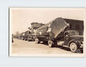 Postcard Giant Fir Logs, Western Washington