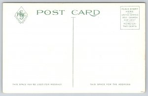 Middletown CT~Birdseye Homes & Rooftops from Arrigoni Hotel Building~c1910 PC