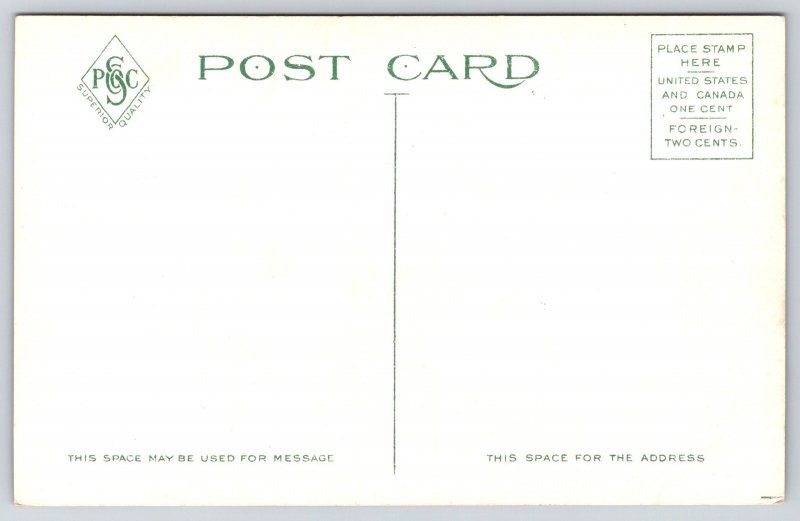 Middletown CT~Birdseye Homes & Rooftops from Arrigoni Hotel Building~c1910 PC