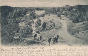 Seneca Park East Rochester New York Genesee River in background - pm 1908 - UDB