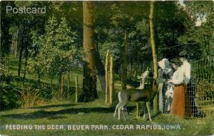 IA, Cedar Rapids, Iowa, Beaver Park, Lot of 5