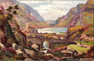 Tucks 7402 Killarney, Serpent Lake, Gap of Dunloe Vintage Postcard N79