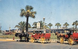 transportation for sightseeing tourist St Augustine, Florida  