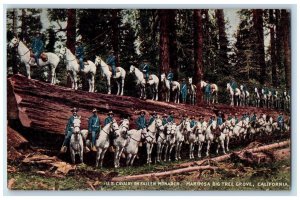 US Cavalry On Fallen Monarch Mariposa Big Tree Grove California CA Postcard 