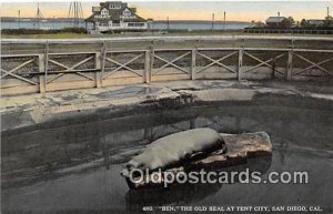 San Diego, CA, USA Ben, Old Seal, Tent City Postcard Post Card unused