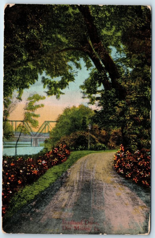 c1910s Des Moines, IA Birdland Drive Truss Bridge Postcard Enos B Hunt Iowa A274