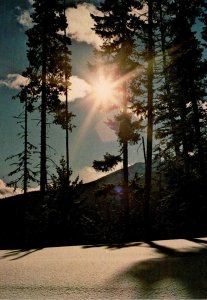 Canada British Columbia Manning Park Fresh Powder Snow