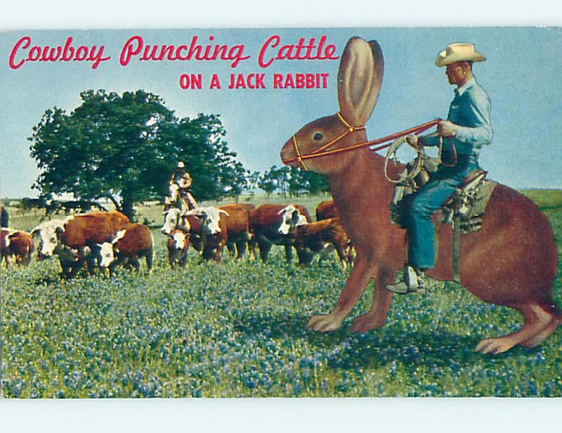 Exaggeration - Cowboy & Big Bunny Rabbit Postmarked Wickenburg Arizona AZ j5874