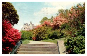 Postcard HOUSE SCENE Asheville North Carolina NC AT3016