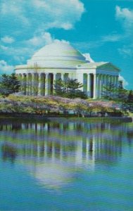 Washington D C Jefferson Memorial With Cherry Blossoms