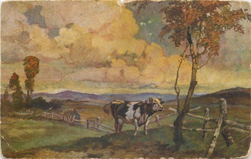 Landscape with cow old postcard