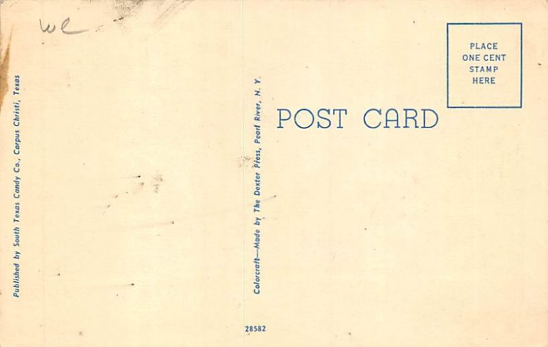 Artesian Park - Corpus Christi, Texas TX