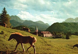 Vintage Postcard Schloss Elmau Salzburg City Austria Foto Mesirca