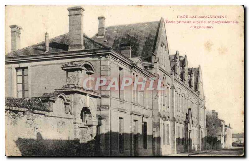 Cadillac sur Garonne Postcard Old superior professional Elementary School & #...