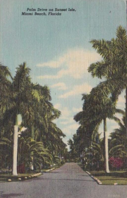 Florida Miami Beach Palm Drive On Sunset Isles 1952