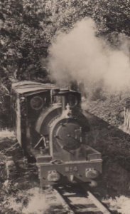 Edward Thomas Dolgoch Welsh Wales Train Railway Station Old Real Photo Postcard