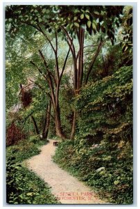 c1910 Seneca Park Road Trees Plants Rochester New York Vintage Antique Postcard 