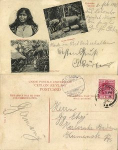 ceylon, COLOMBO, Singhalese Girl, Elephant, Native Hut (1906) Multiview Postcard