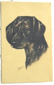 A1932    DOG    POSTCARD  by R.E. GAULIS