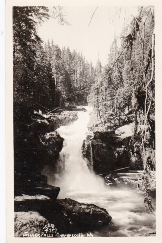 Washington Ohanapecosh Silver Falls Real Photo