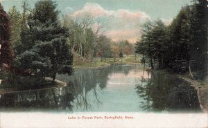 Postcard Lake In Forest Park Springfield MA UDB Unposted 