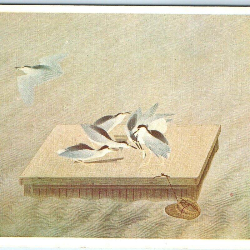 c1940s Japan Painting Tatsuichi Kanegae Seagulls Postcard 15th Imperial Arts A58