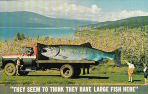 Canada Exageration Large Trout On Back Of Truck British Columbia Fisherman�...