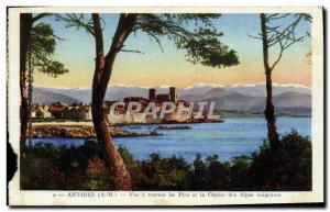 Old Postcard Antibes View A Travers les Pins and La Chaine Des Alpes Snowy