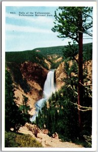 Falls of the Yellowstone National Park from Point Lookout Great Falls Postcard