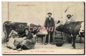 Old Postcard Folklore Types Pyrenees Pyrenean Dairy Cow TOP