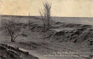 Nebraska~Oregon Trail by 32 Mile Creek Crossing~Bare Trees by Wagon Tracks~c1910