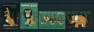 500638 POLAND Zoo animals Vintage match labels