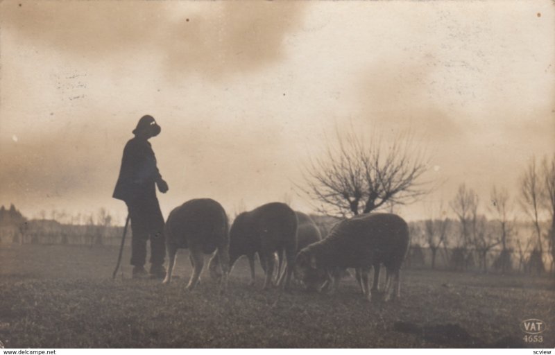 RP: Roma , Italy , 1919 ; Man Herding Sheep