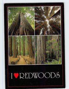 Postcard I Heart Redwoods, California