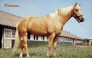 Palomino Horse Unused 