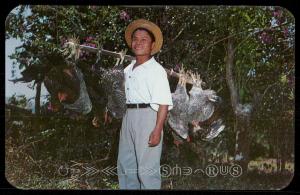 Chicken Vender - El Valle